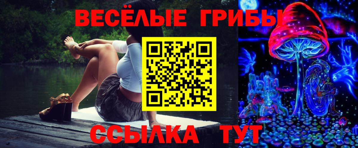Псилоцибиновые грибы Psilocybe  Вход с VPN  магазин  наркотиков  Мариинск 